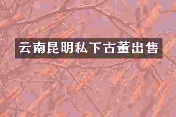 云南昆明私下古董出售