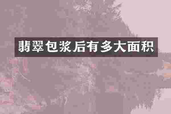 翡翠包浆后有多大面积