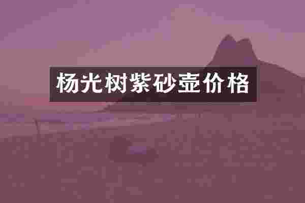 杨光树紫砂壶价格