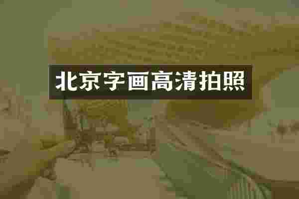 北京字画高清拍照