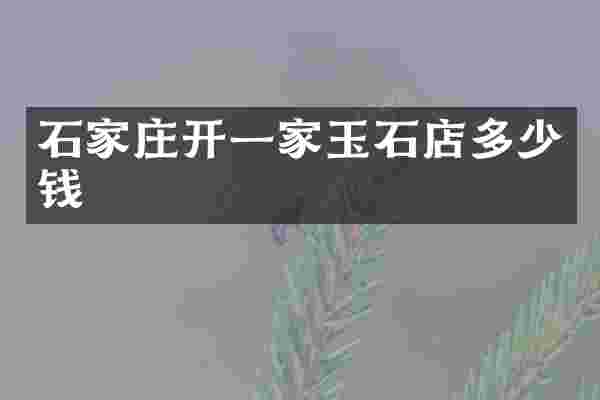 石家庄开一家玉石店多少钱
