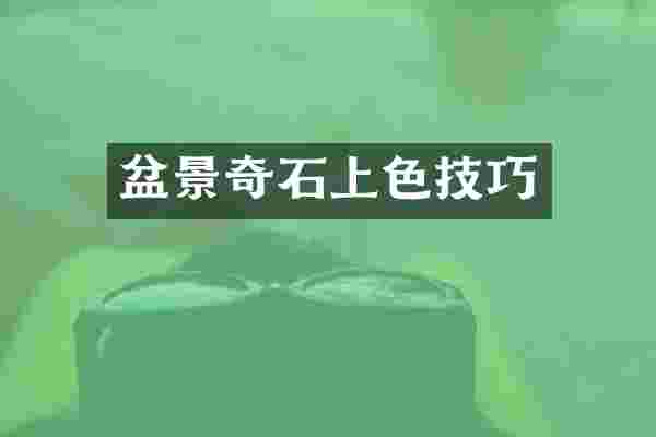 盆景奇石上色技巧