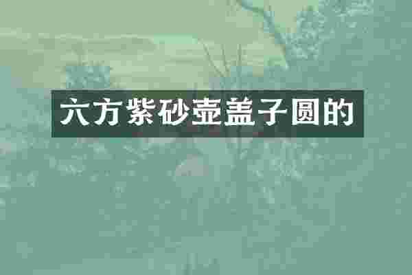 六方紫砂壶盖子圆的