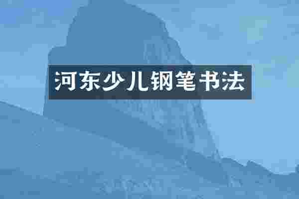 河东少儿钢笔书法