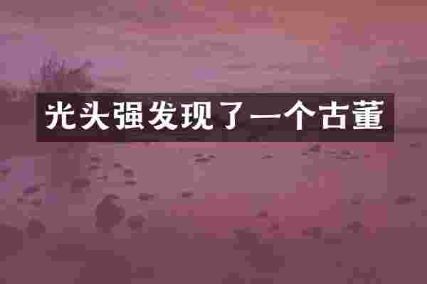 光头强发现了一个古董