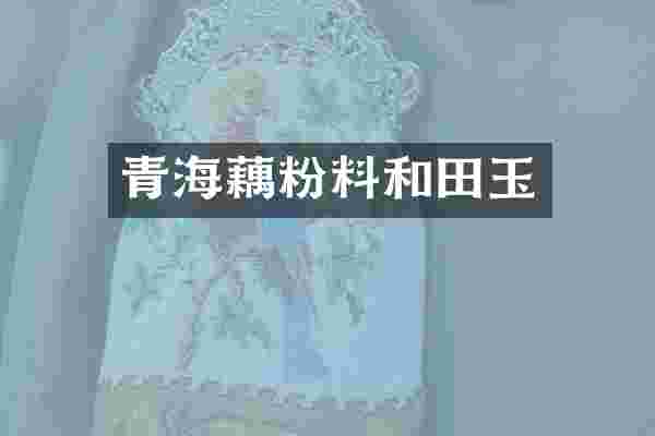 青海藕粉料和田玉