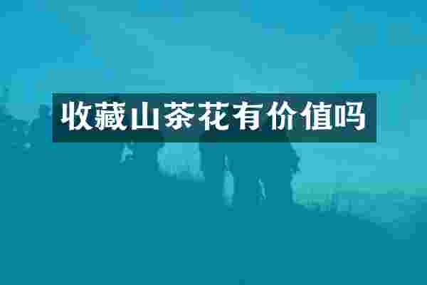 收藏山茶花有价值吗