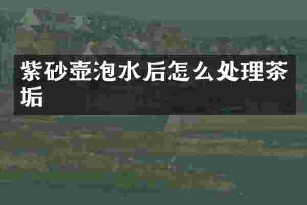 紫砂壶泡水后怎么处理茶垢