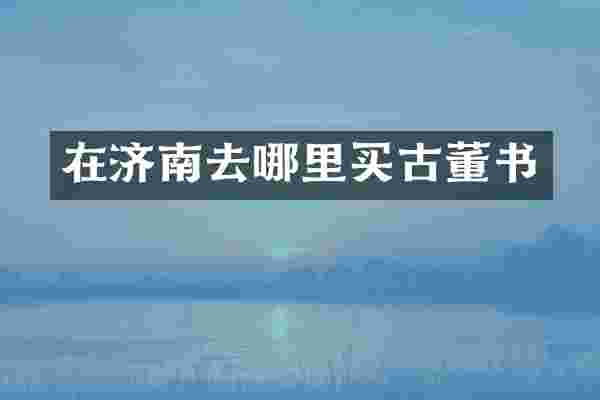 在济南去哪里买古董书