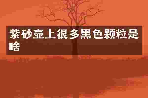 紫砂壶上很多黑色颗粒是啥