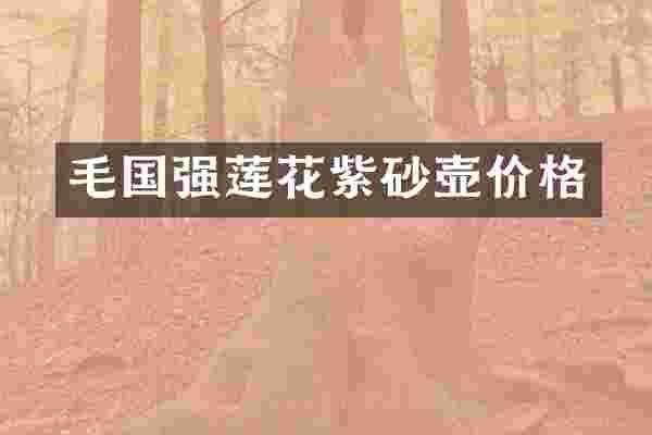 毛国强莲花紫砂壶价格