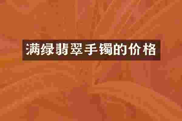 满绿翡翠手镯的价格