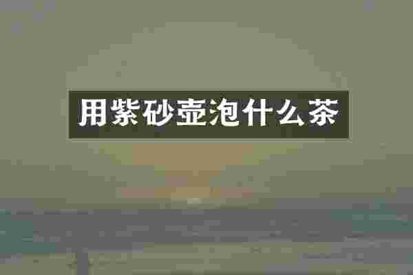 用紫砂壶泡什么茶