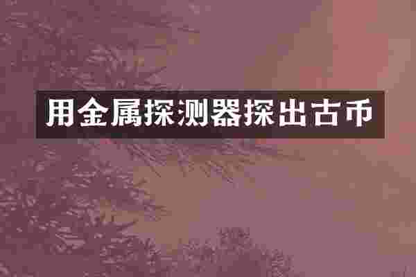 用金属探测器探出古币