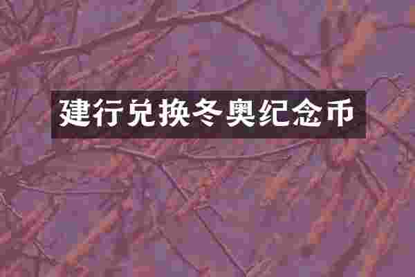 建行兑换冬奥纪念币