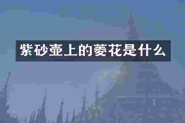 紫砂壶上的菱花是什么