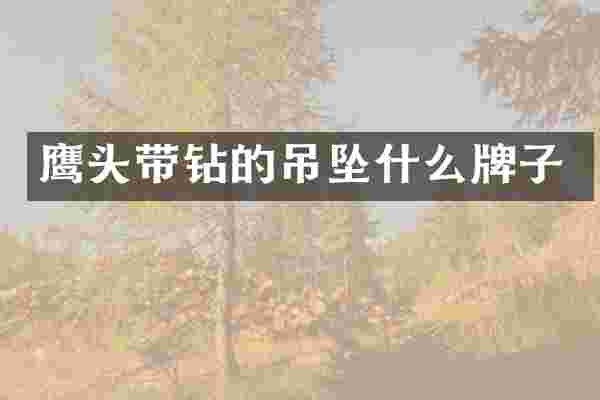 鹰头带钻的吊坠什么牌子