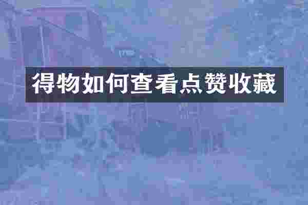 得物如何查看点赞收藏