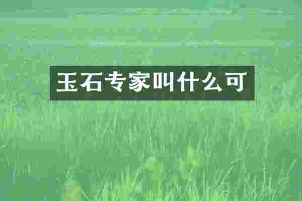 玉石专家叫什么可
