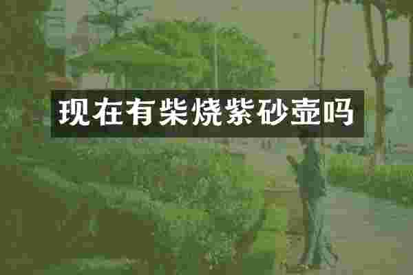 现在有柴烧紫砂壶吗