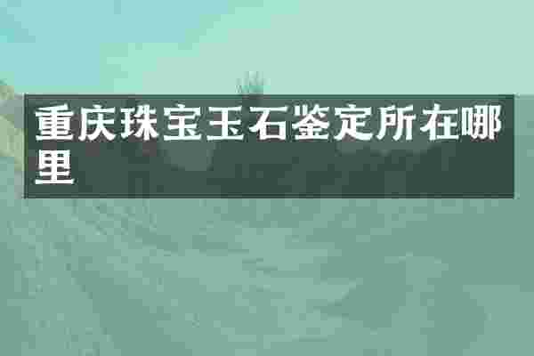 重庆珠宝玉石鉴定所在哪里