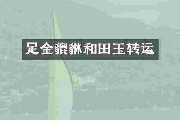 足金貔貅和田玉转运
