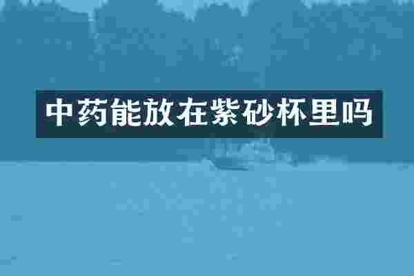 中药能放在紫砂杯里吗