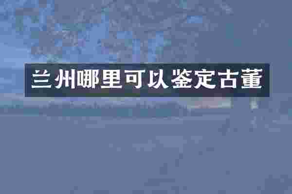 兰州哪里可以鉴定古董