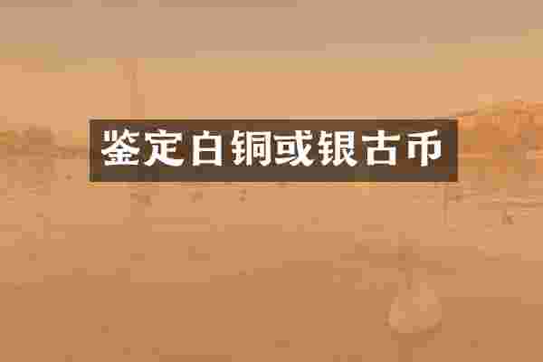 鉴定白铜或银古币