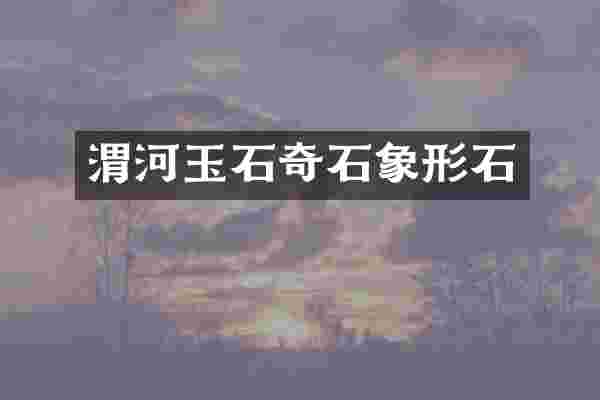 渭河玉石奇石象形石