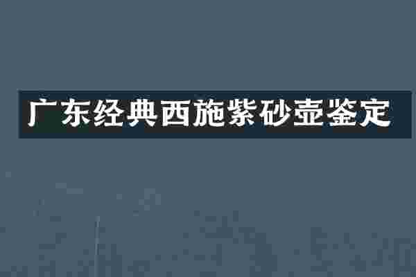 广东经典西施紫砂壶鉴定