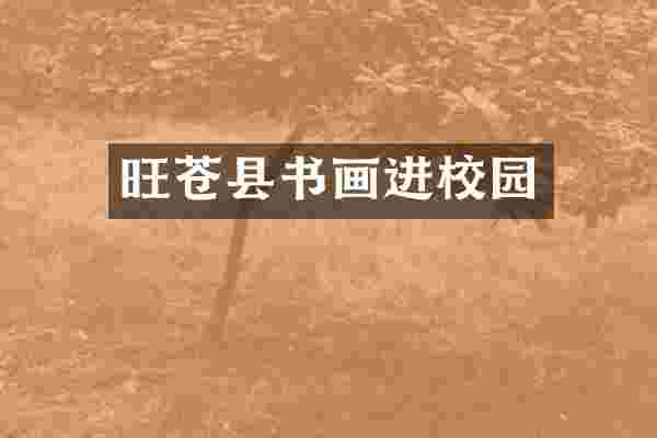 旺苍县书画进校园