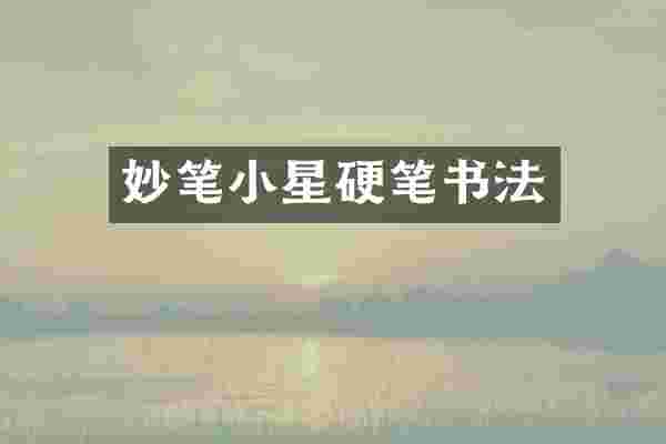 妙笔小星硬笔书法