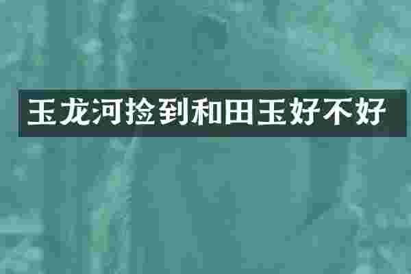 玉龙河捡到和田玉好不好