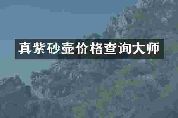 真紫砂壶价格查询大师