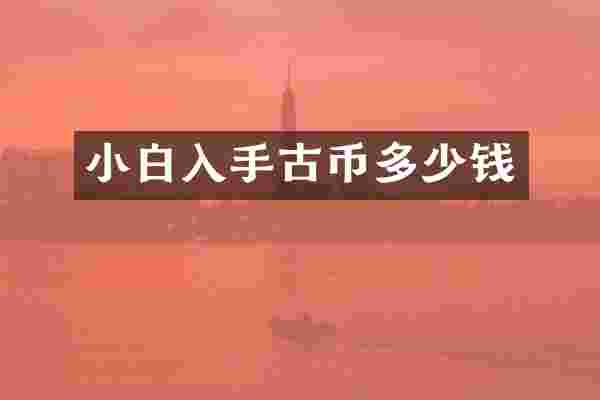 小白入手古币多少钱