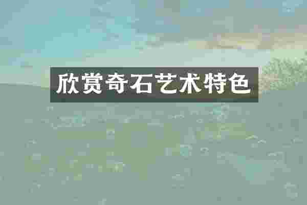 欣赏奇石艺术特色