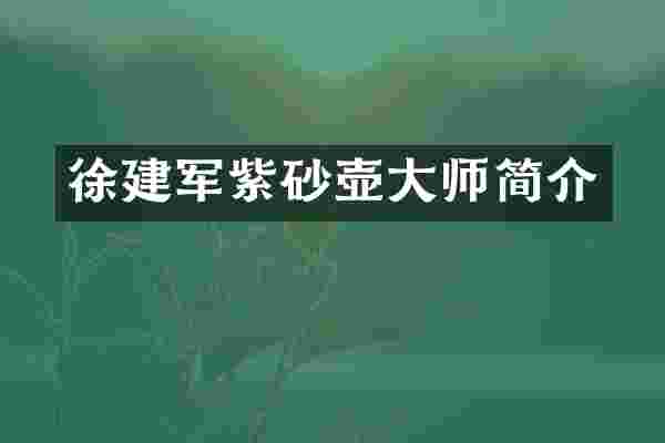 徐建军紫砂壶大师简介