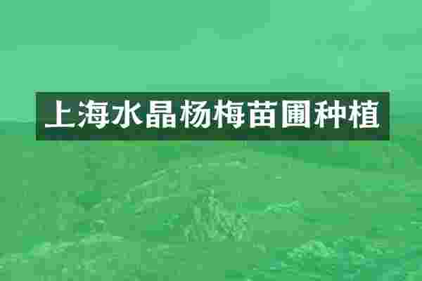 上海水晶杨梅苗圃种植