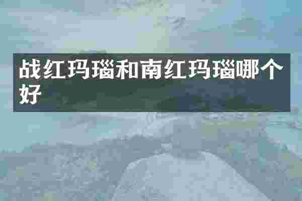 战红玛瑙和南红玛瑙哪个好