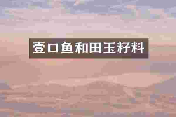 壹口鱼和田玉籽料