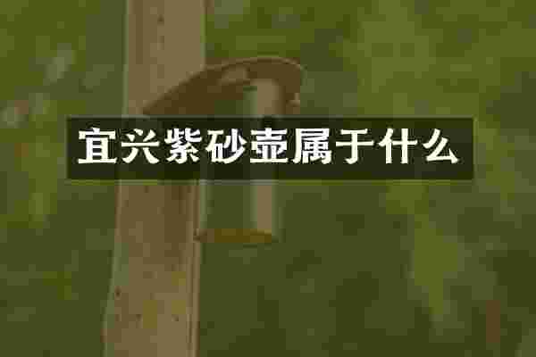 宜兴紫砂壶属于什么