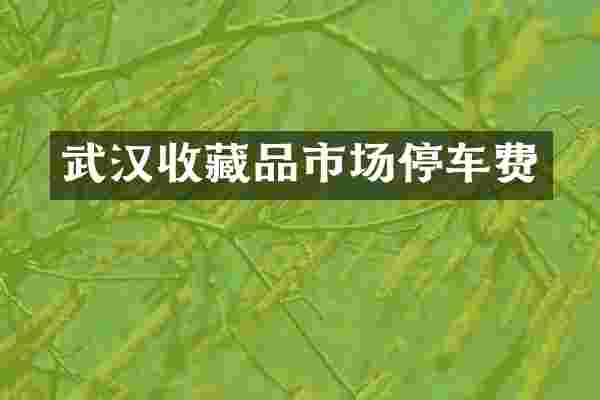 武汉收藏品市场停车费