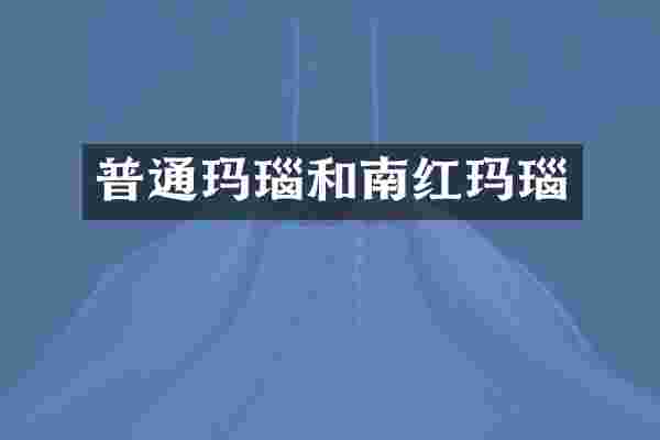 普通玛瑙和南红玛瑙