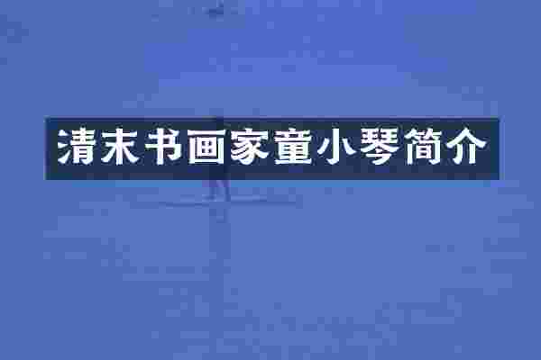 清末书画家童小琴简介