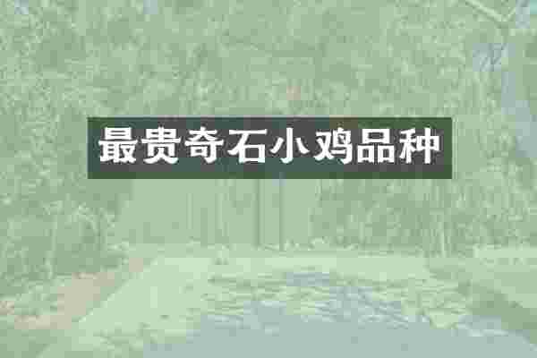最贵奇石小鸡品种