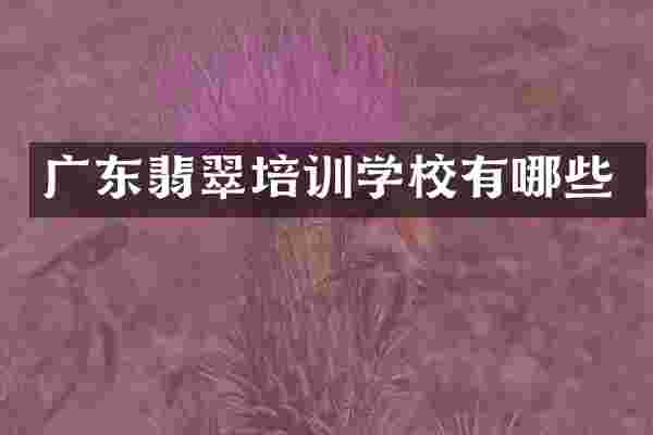 广东翡翠培训学校有哪些