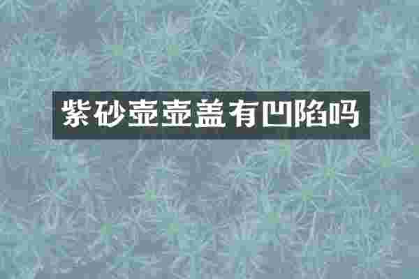 紫砂壶壶盖有凹陷吗