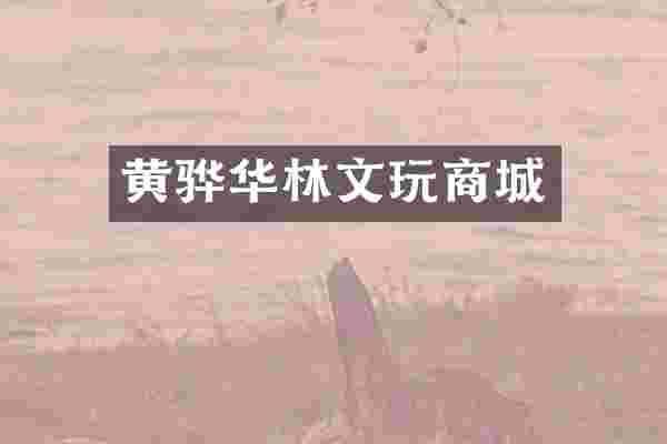 黄骅华林文玩商城