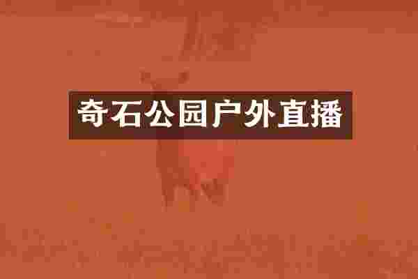 奇石公园户外直播